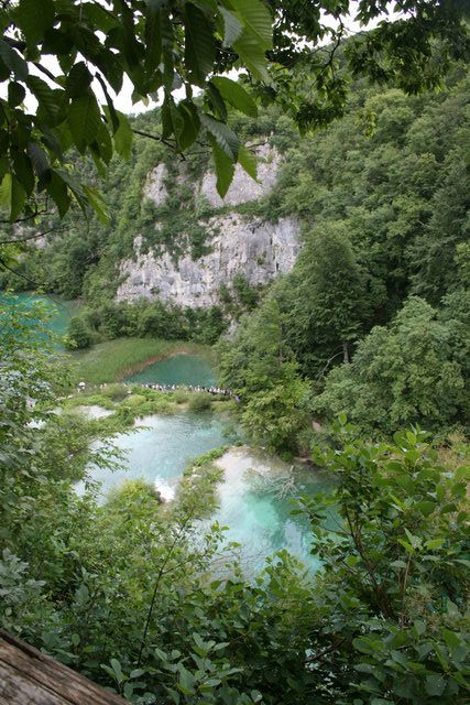 gal/cro 08/small-IMG_5644.JPG